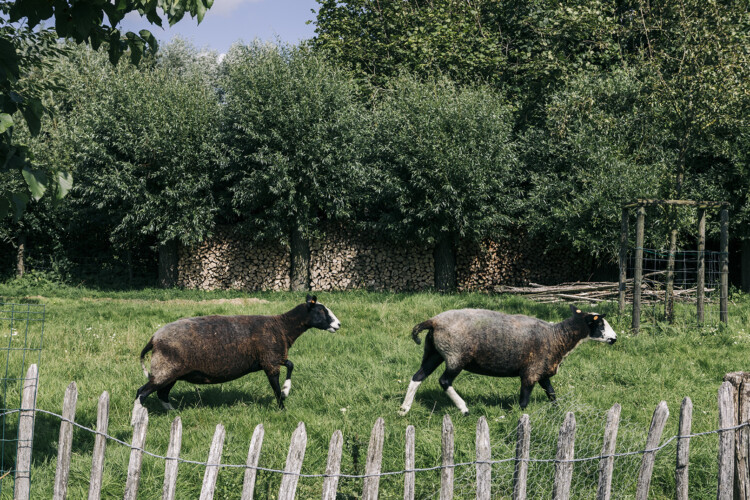 De Weide Wereld B&B Beernem