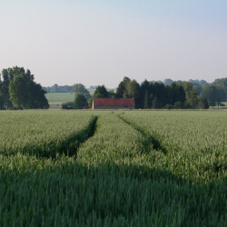 Villa Veldzicht Vakantiehuis Attenrode