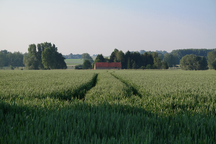 Villa Veldzicht Vakantiehuis Attenrode