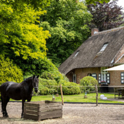 De Swaenhoeve Vakantiehuis Zoersel