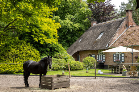 De Swaenhoeve Vakantiehuis Zoersel