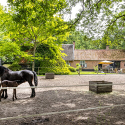 De Swaenhoeve Vakantiehuis Zoersel