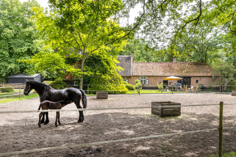 De Swaenhoeve Vakantiehuis Zoersel