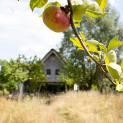 Hoeve Corfs Vakantiehuis Wellen