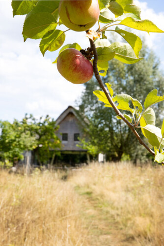 Hoeve Corfs Vakantiehuis Wellen