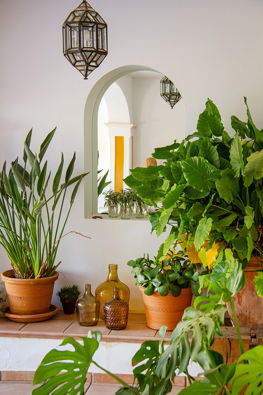 online casino banzai Creates Experts